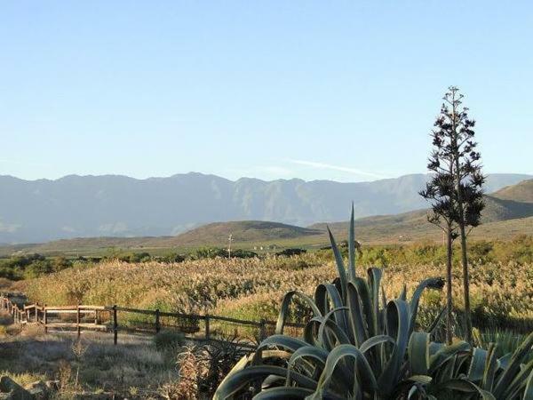 맥그리거 Tanagra Wine & Guestfarm 아파트 외부 사진